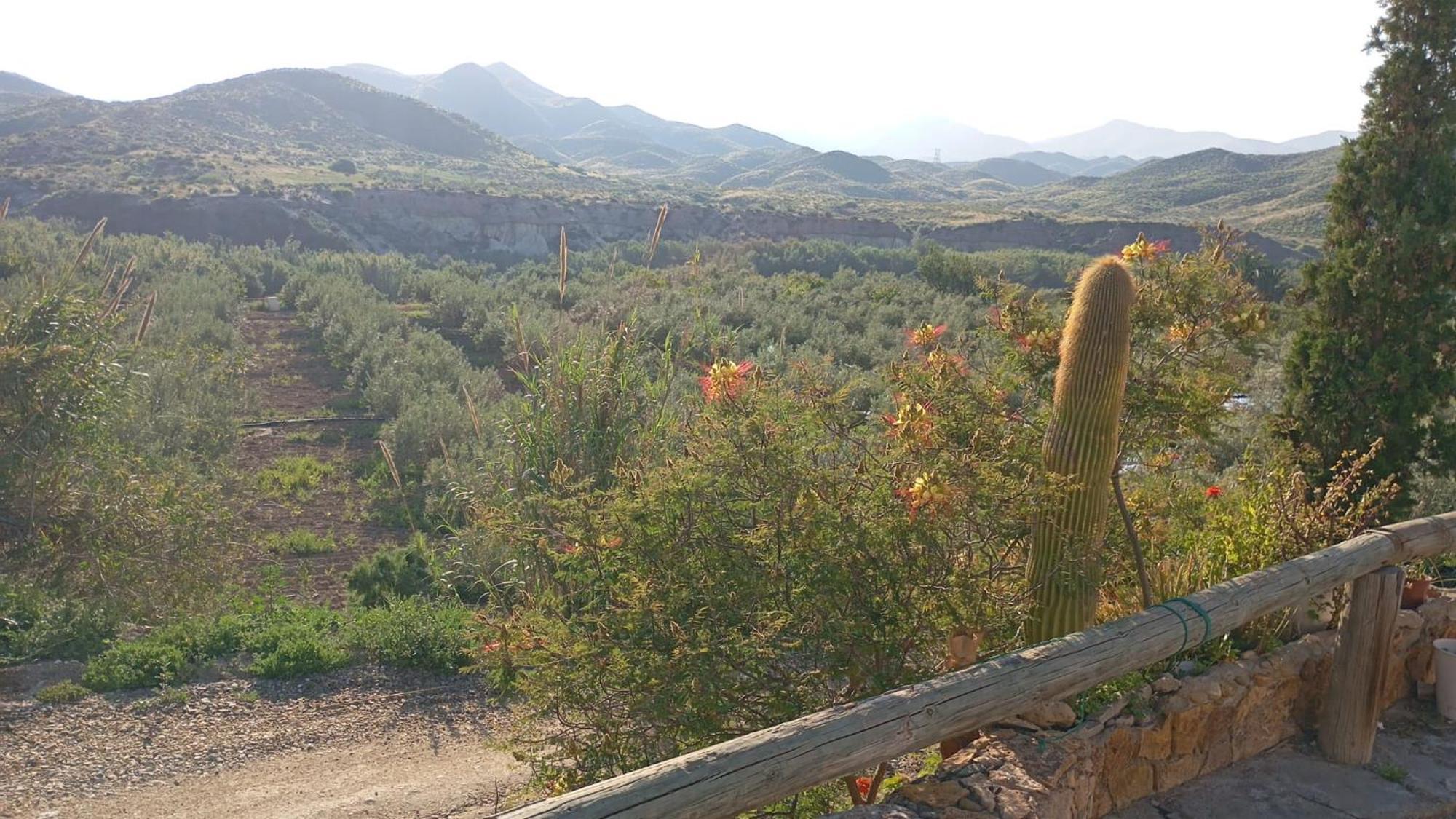 Cortijo Rural Molino El Tarahal Con Piscina Y Zonas Compartidas Eksteriør bilde